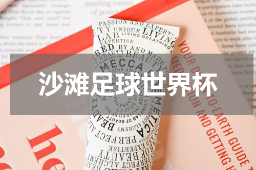 沙滩足球世界杯