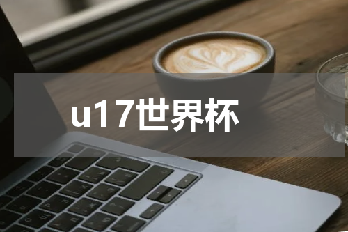 u17世界杯