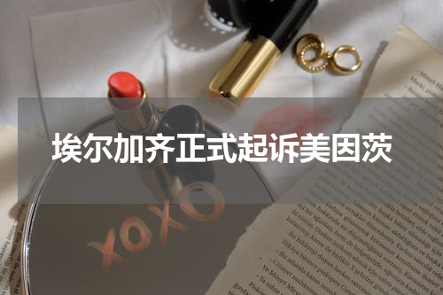 埃尔加齐正式起诉美因茨