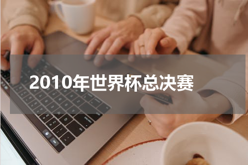 2010年世界杯总决赛