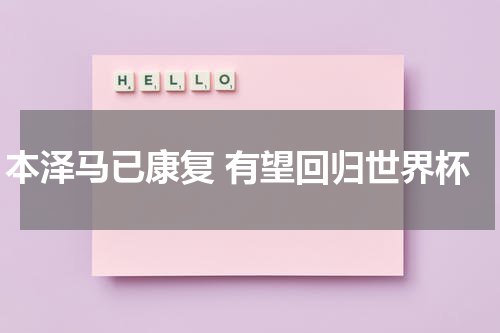 本泽马已康复 有望回归世界杯