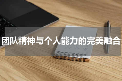 团队精神与个人能力的完美融合
