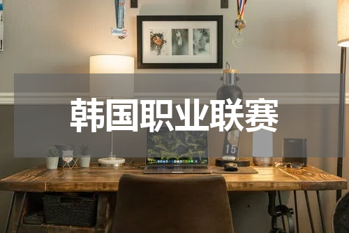 韩国职业联赛