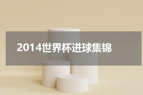 2014世界杯进球集锦