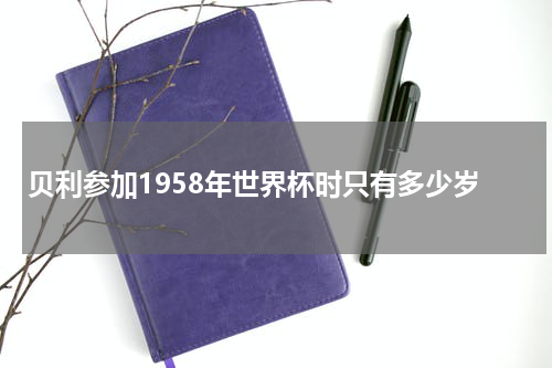 贝利参加1958年世界杯时只有多少岁